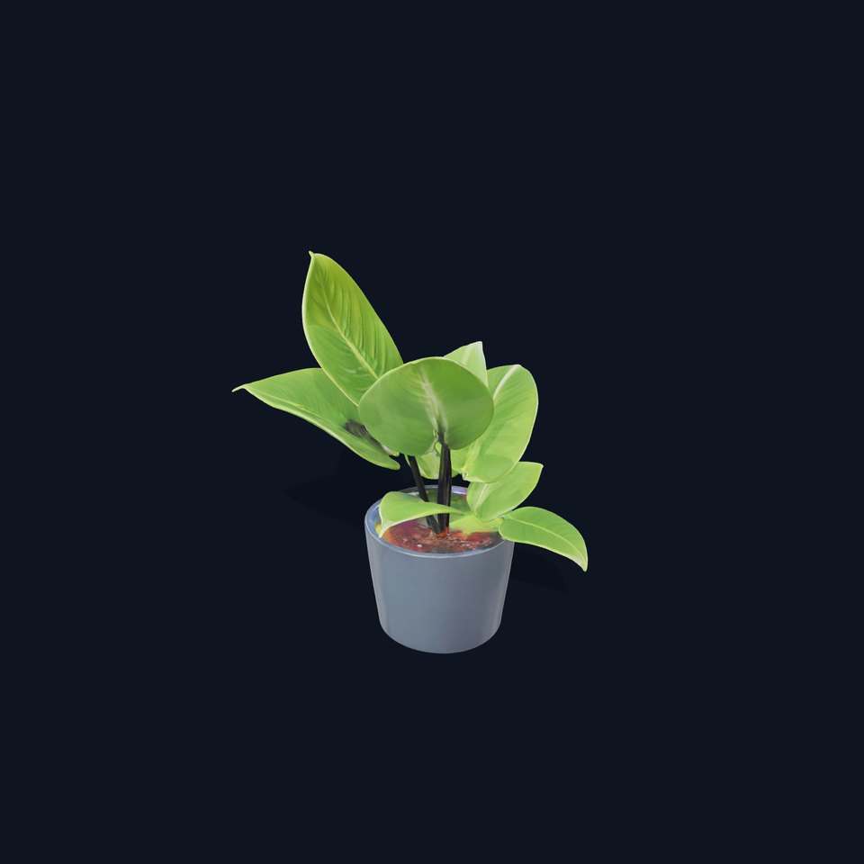 Realistic Potted Plant Model Pack